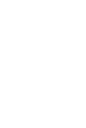 Guerreros del Sur